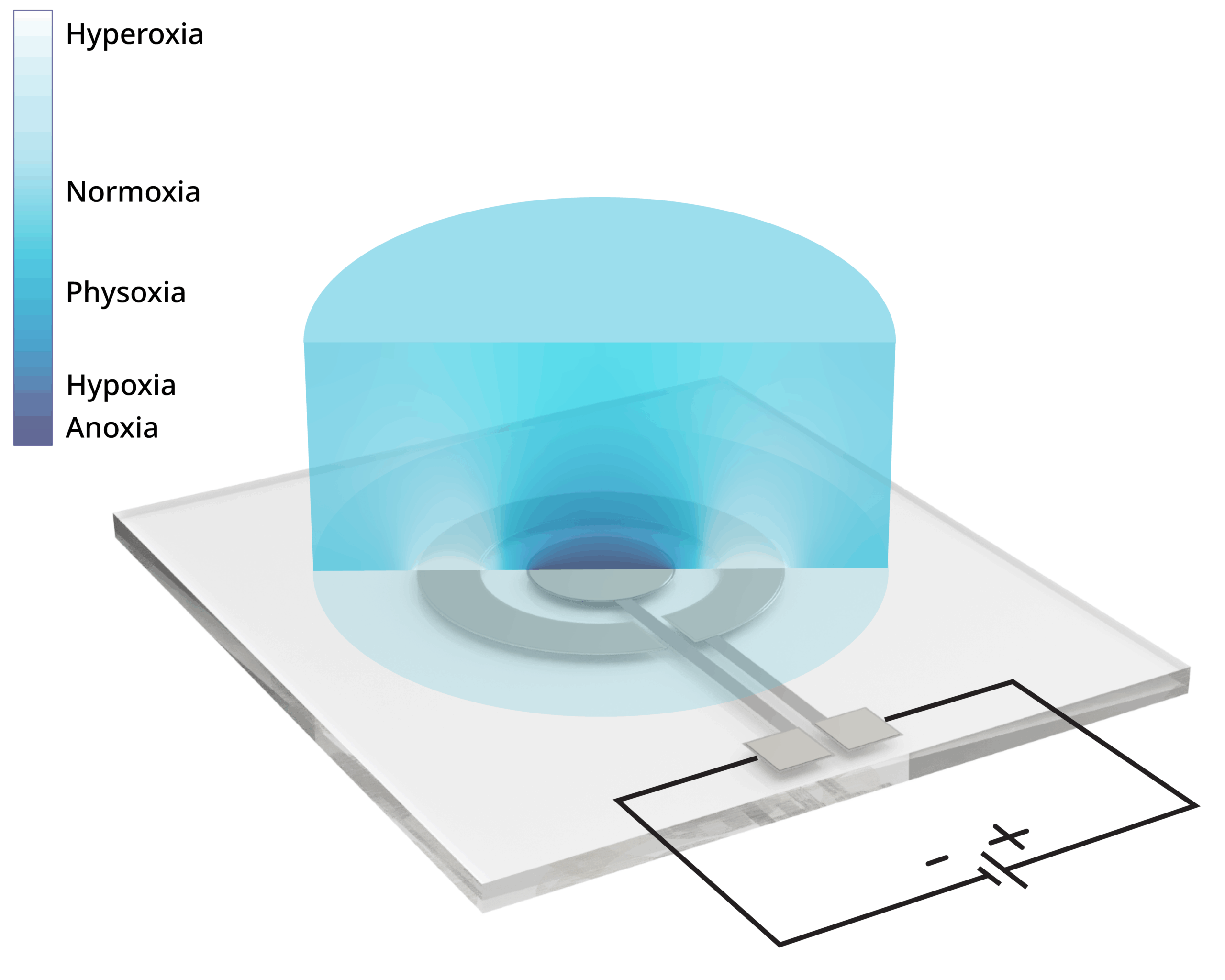 Concentric electrodes showcasing Oxygen reduction reaction for the formation of controlled oxygen gradients